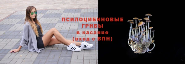 героин Богданович