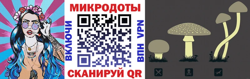 Галлюциногенные грибы MAGIC MUSHROOMS  купить закладку  KRAKEN как зайти  Красавино 